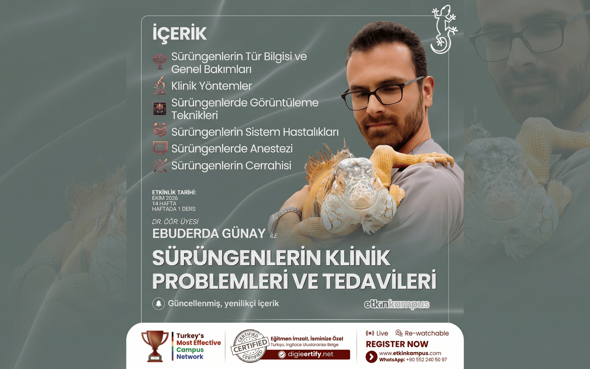 Sürüngenlerin Klinik Problemleri ve Tedavileri